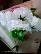 承接:手工花，打胶枪，串珠，电子产品，一