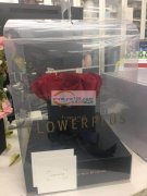 《量大》求购抱抱桶&nbsp; 长期订单