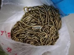 【如图】镀好的链条处理，地址：廿三里工业