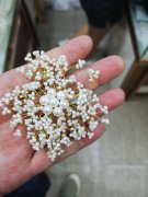 【如图】寻找生产珠珠花的厂家，数量300