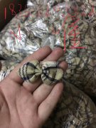 承接各种手工加工，针缝，绕线，电针，手打