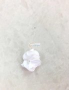 《量大》需要采购雪纺的小花，有专业做此雪
