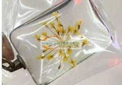 寻做玻璃干花合成的厂家，要求专业的，质量