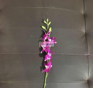 《看图》现寻专业做仿真花的工厂，有会做的