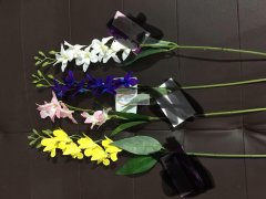 《看图》现寻专业做仿真花的工厂，有会做的