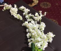 《看图》现寻专业做仿真花的工厂，有会做的