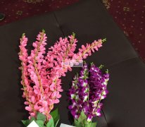 《看图》现寻专业做仿真花的工厂，有会做的