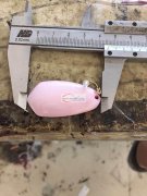 现寻会做【如图】贝壳的厂家，专业的最好，