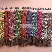 求购【如图】花环藤条，数量100000个