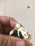 现寻做【如图】这款小孩配件的厂家，立体的