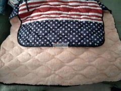 100000件电动车挡风被外发，可以做两