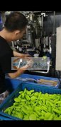 刷子植毛加工，钻植一体机，速度快质量好～