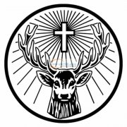 现寻采购80000串夏威夷花【实单】有此