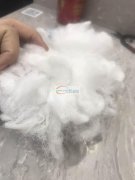 找做【如图】产品的加工厂，毛长8cm之1