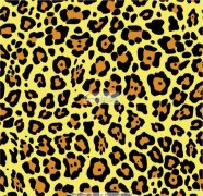 【看图】寻找专业做豹纹葱的工厂，有做的请