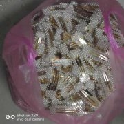 网红爆款发夹便宜处理，【看图】2000个