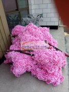 专业承接各种仿真花加I！出活快，质量不钅