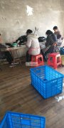 本人承接手工加工.长期做手工.员工十几人