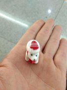 需要采购3000个如图产品，寻找有做此产