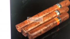 找做【如图】树脂雪茄的厂家，最好是有现货