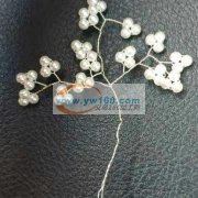 我厂现有朝鲜劳务人员460人，在朝鲜也有