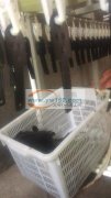 专业油边加工、箱包加工、皮带小圈、饰品等