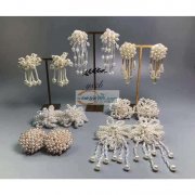 《厂家直销爆款珍珠耳夹》