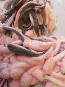 有这款产品里面的头箍厂家请联系，谢谢（看