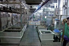 承接白K,KC金，古银等各类电镀加工