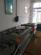 承接白K,KC金，古银等各类电镀加工