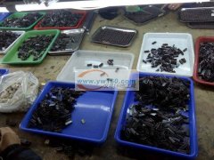 承接各种手工加工 电子组装&n