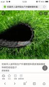 【大量采购如图产品】寻求仿真人造草坪