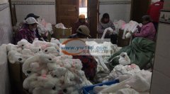 承接平车和各种手工加工 毛绒玩