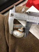 寻找【如图】这两款贝壳，需要现货，质量要