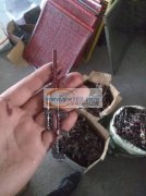本厂承接各种玩具喷漆，合金喷漆，移印