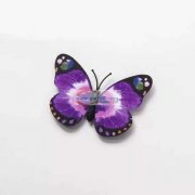 求购【如图】pvc小蝴蝶，长期大量要，价