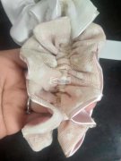 【如图】大肠圈外发加工，找双针车缝大肠圈