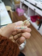 寻找【如图】珠子材料，塑料的，现货最好，