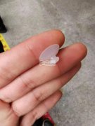 求购【如图】吸盘，数量1000000个，