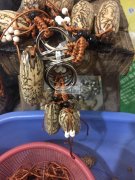 本人两个小孩的妈妈，家在东阳，村里有一批