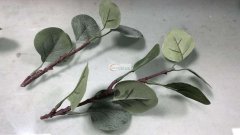 45万外发加工，如图，寻找能做这款产品的