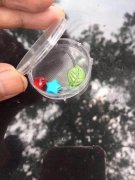 找做这款配件盒子的工厂，如图，品质要好，