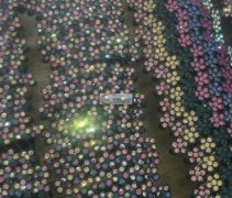 专业承接各种各样点钻点珍珠。