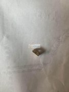 寻求能做如图产品的厂家，7mm正方，品质