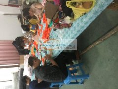 承接电子焊接组装加工，质量保证，价格公道