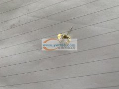 寻找能做如图这款产品的工厂，要求质量好的