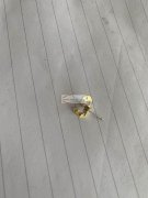 寻做如图这种爪配件的厂家，品质要好，价格