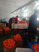 电子焊接&nbsp;&nbsp;组装&n