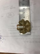 如图，花片外发加工，寻找做这种花片的工厂