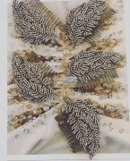 【量大】寻找类似产品 ，可订货可现货 ，